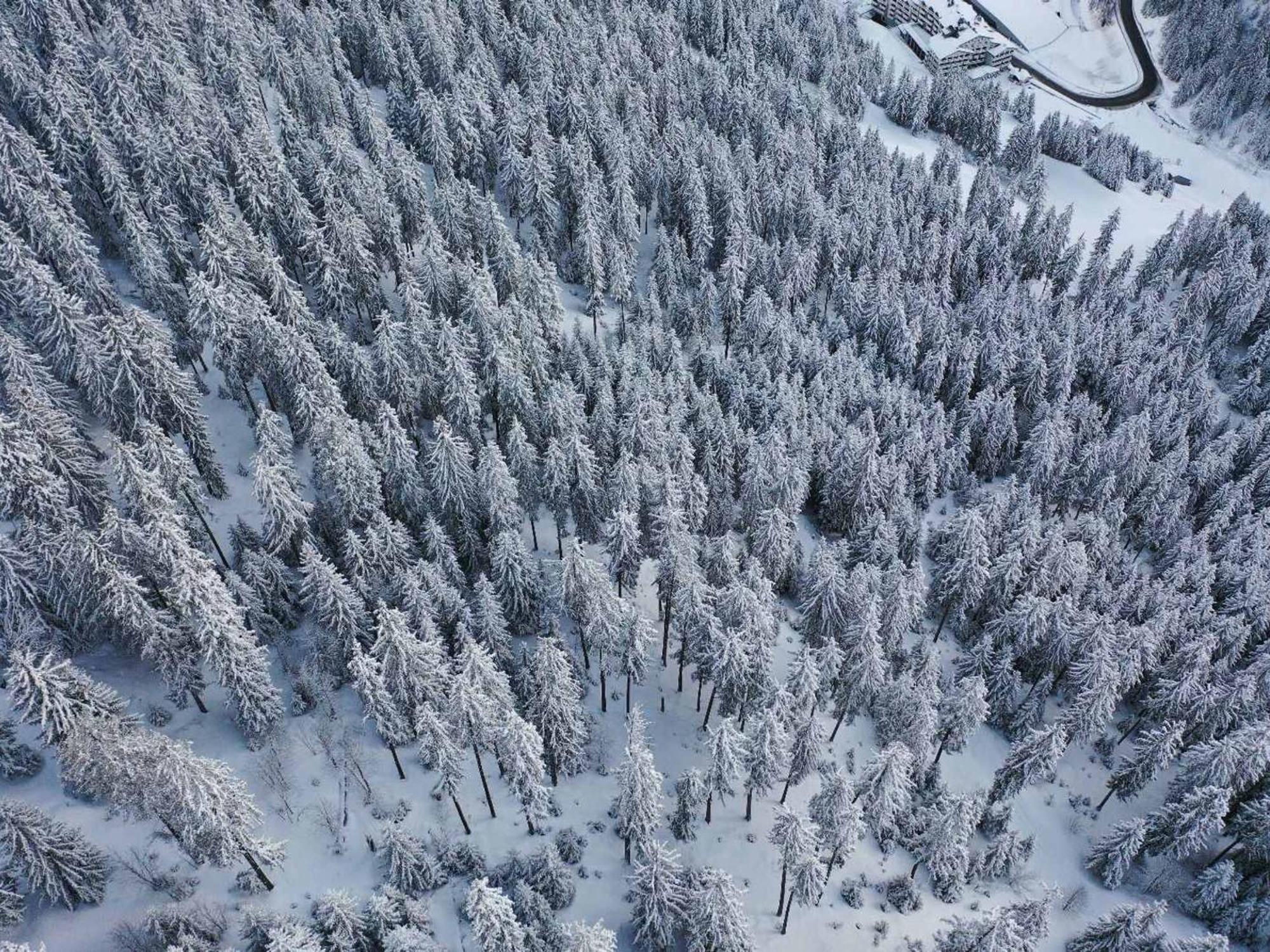 Vila Chalet Neuf A Courchevel 1850, Pret Pour 6 Avec Ski Aux Pieds Et Wifi! - Fr-1-575-233 Exteriér fotografie